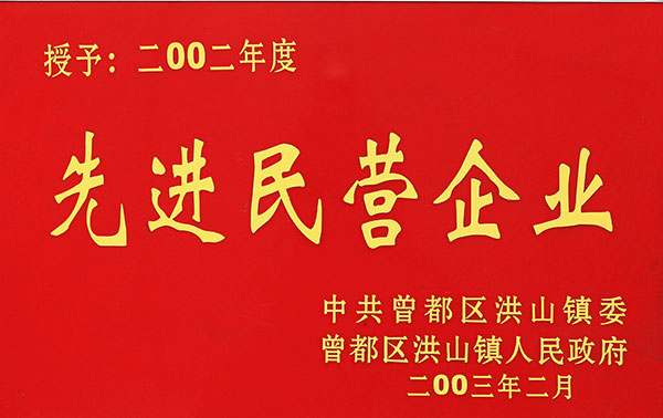 先進(jìn)民營(yíng)企業(yè)