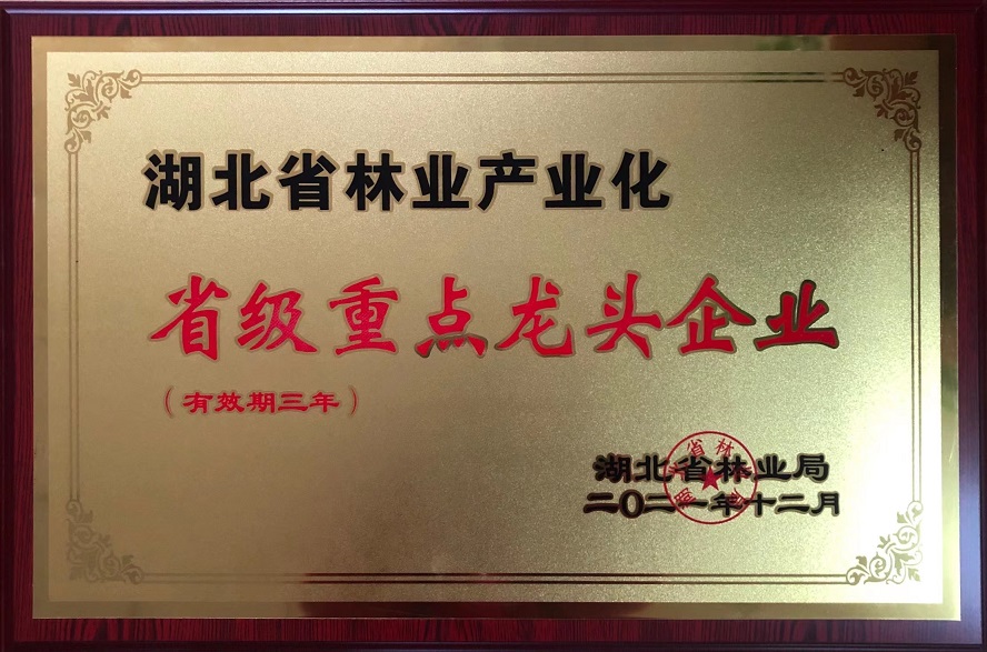 林業(yè)產(chǎn)業(yè)化重點(diǎn)龍頭企業(yè)