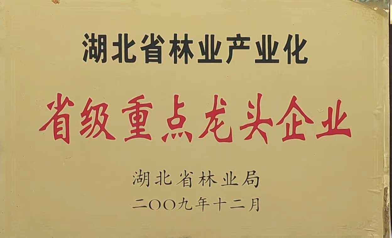 省林業(yè)產(chǎn)業(yè)化重點(diǎn)龍頭企業(yè)（2009.12).jpg